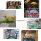Hamiledyi Bird Perches for Cage Grinding Sand Bird Perches 8pcs Claw Trim Cage Perches Stand for Starlings, Parakeets Lovebirds Canaries Green Cheeked Conures (0.78 in Diameter)
