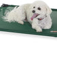 K&H Pet Products Outdoor Elevated Dog Cot, Cooling Raised Bed with Waterproof Breathable Mesh for Medium Dogs, Portable Place Bed with Heavy-Duty Metal Frame & Hammock Style Cover - Medium Green