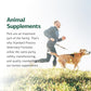 Standard Process Canine Dermal Support - Skin & Adrenal Gland Support Supplement - Comprehensive Skin Health Support Supplement for Dogs - Daily Immune & Liver Support Powder - 30 g