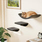 Grey Sisal-Padded Cat Wall Steps (2-Pack), Floating Wooden Cat Perch and Climbing Step Set, Wall Mounted Furniture for Jumping & Play
