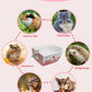 Chinchilla Food Bowl Ceramic Guinea Pig Cage Feeder Hanging Bunny Food Dish Small Animal Feeding Bowls for Syrian Hamster Ferret Gerbils (Pink)
