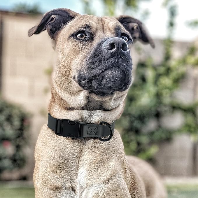 Dogline Biothane Waterproof Dog Collar with Quick Release Buckle Strong Coated Nylon Webbing with Odor- Proof for Easy Care Easy to Clean Fits Small Medium Large Dogs, Black 5/8" W 9-14" L