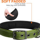 Fida Heavy Duty Dog Collar, Ultra Comfortable Soft Neoprene Padded, Adjustable Reflective Nylon Pet Collar with Durable Metal Belt Buckle for Small Breeds (S, Green)