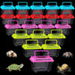 20 Pack Small Plastic Reptile Carrier Tarantula Enclosure Snake Breeding Box Hatching Container for Spider Fish Turtle Hermit Crab Bearded Dragon Lizard (5.1 x 3.5 x 3.5 Inch)