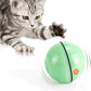 WWVVPET Interactive Cat Toy With LED Light, 360 Degree Self Auto Rotating Smart Ball, USB Rechargeable Spinning Toy, Stimulate Hunting Instinct for Kittens, Funny Chaser Roller Pet Toy
