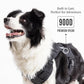 2025 New Edition, Fei & Eve MagEase Dog Harness - 3-Second Magnetic Buckles | 3-Point No-Pull Control | Heavy-Duty 900D Nylon | Dual Safety Handles | Breathable Mesh | Adjustable Fit | X-Large,Black
