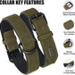 Didog Soft Padded PU Leather Dog Collar, Breathable and Adjustable Dog Collars for Small Dogs, Comfortable for Daily Walk, Dark Green, M Fit Neck 12-15"(13-22 lbs)