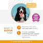 BIOFUR: Omega 3 Supplement for Cats & Dogs - Puppy Essentials & Dog Allergy Relief - Vitamins, Minerals for Feline & Canine Skin, Coat Health, Nutrition, Well-Being, Orange
