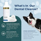 Petscy - Dental Cleanse, All-Natural Cat & Dog Tartar Remover for Teeth, Cat & Dog Water Additive for Dental Care, Suitable for All Ages, Breeds & Sizes, 8 Oz
