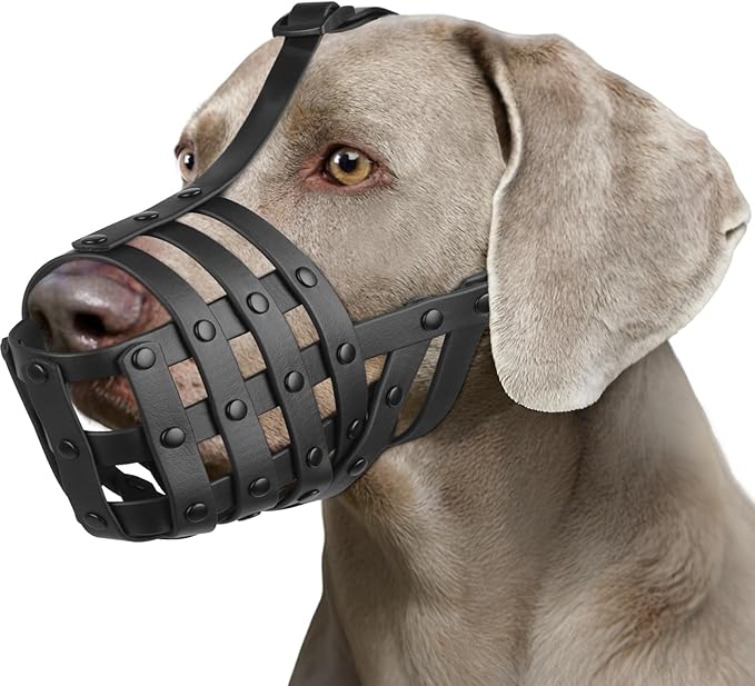 Mayerzon Dog Muzzle for Medium Large Dogs, Humane Basket Muzzle, Soft & Lightweight & Adjustable | Anti Biting Chewing Eating, Suits Training Walks Grooming Vet Visits, Drink & Pant Easily (Black, M)