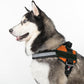 Dogline Dog Harness, Reflective No-Pull Adjustable Vest with Handle for Walking, Training, Breathable, No - Choke Harness for Small, Medium or Large Dogs Room for Patches Girth 22"-28" in Orange