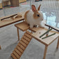 Bamboo Apple Sticks for Chinchillas Hamster Mouse Gerbil Bunny Pet Rat Guinea Pig Rabbit Chew Wood Timothy Hay Sticks Enrichment Toys for Teeth Supply Treats Snacks for Boredom Indoor