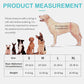 Dog Sling for Medium Dogs Hind Leg Support – Helps with Joint Pain, Mobility Issues, and Ivdd, Rear Leg Lift Harness with Chest Strap, Adjustable Elastic, and Reflective Material, M