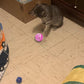 10-Pack Cat Toy Balls for Kittens and Adult Cats, Furry Fun (1.5'' - 2.1'', Cat Toys Value Pack)