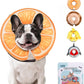 KOOLTAIL Inflatable Dog Cone Collar, Soft Dog Cone Alternative for Large Medium Small Dogs After Surgery, Cute Costume Adjustable Donut Neck Cone for Dogs Cats, Comfortable Recovery E Collar,Orange M