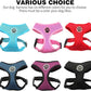 BINGPET Small Dog Harness - Breathable Mesh Puppy Cat Harnesses - No Pull Adjustable Dog Harness Dog Vest Harness for Small and Medium Dogs
