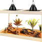 Prolee Reptile Terrarium Tank Up to 78 Gallon, Lizard Tank Bearded Dragon Tank with Metal Mesh Roof Door, Snake Tank with Lock Design (Oak, 27 Gallon Volume, 24 Inch Length)