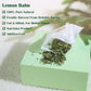 TEARELAE - Lemon Balm Tea Bag - 1.5g X 50 Count - Pure Natural Dried Lemon Balm Herb - Premium Lemon Balm Leaf for Calming and Digestion Support - Caffeine-free - Non-GMO