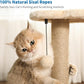 Made4Pets Cat Scratching Post, Cat Self Groomer for Indoor Cats, Cloud Soft Perch for Rest, 17.5" Tall Natural Sisal Scratcher Cat Grooming Interactive Ball Track Toys for Small Cats Kittens