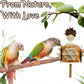 5-Pack Natural Hanging Basket Bird Toys – Foraging & Chewing Toys for Parakeets, Cockatiels, Conures & Small Birds – No Plastic, All-Natural Materials