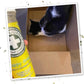 Meowijuana Strawberry Bundle | Get Sprung Refillable Strawberry Toy and Happy Grass Catnip Blend | Promotes Play and Cat Health | Includes North American Organic Catnip