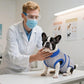 Kuoser Recovery Suit for Dogs Cats After Surgery, Professional Pet Recovery Shirt Dog Abdominal Wounds Bandages, Substitute E-Collar & Cone,Prevent Licking Dog Onesies Pet Surgery Recovery Suit