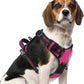 PUPTECK No Pull Dog Harness Medium Sized, Adjustable Reflective Dog Harness with Handle Easy Control, Comfortable Soft Padded Pet Vest Harness for Medium Dogs, Fuschia M