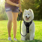 BARKBAY Dog Harness No Pull with ID Tag Pocket - Heavy Duty, Reflective, Easy Control for Large Dogs(Black,S)