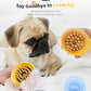 [PETHROOM] Cat Brush for Shedding Cats,Dogs, Kitten | Gentle Deshedding & Grooming Tool for Short or Long Hair | Safe Massage Brush for Sensitive Skin | Sturdy, Durable, and Portable