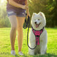 BARKBAY Dog Harness No Pull with ID Tag Pocket - Heavy Duty, Reflective, Easy Control for Large Dogs(Pink/Black,XL)