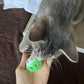 19-Piece Cat Toy Variety Pack for Kittens and Indoor Cats (1.5'' - 8.3'', Cat Toys Pro Collection)