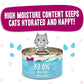 Weruva B.F.F. Play - Best Feline Friend Paté Lovers, Aw Yeah!, Tuna & Duck Double Dare with Tuna & Duck, 2.8oz Can (Pack of 12)