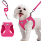 rabbitgoo Dog Harness Small Sized and Leash Set, Step in Soft Light Puppy Vest, Breathable Mesh Pet Harness, Reflective for Safe Easy Walking, Rose Red M