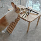 Bamboo Apple Sticks for Chinchillas Hamster Mouse Gerbil Bunny Pet Rat Guinea Pig Rabbit Chew Wood Timothy Hay Sticks Enrichment Toys for Teeth Supply Treats Snacks for Boredom Indoor