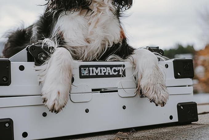 Impact Collapsible Dog Crate - Foldable Hard Crate for Large Dogs - Heavy Duty Travel Kennel with Powder-Coated Aluminum - Quick Setup for Indoor & Outdoor (Gray, 40" (40.5" L x 23" W x 29" H))