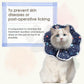 Soft Cat Recovery Collar,Adjustable Cat Cone,Protective Cone Collar After Surgery for Cats (Starry Sky, M)