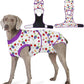 Recovery Suit for Dogs After Surgery, Professional Dog Surgical Suit for Female Spay, Male Neuter, E-Collar & Cone Alternative Dog Onesie for Abdominal Wounds Skin Disease, Purple, XS