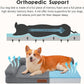 Orthopedic Dog Beds Large Sized Dog, 3 Inch Memory Foam Pet Bed for Medium and Large Dogs, Washable Removable Cover, Nonskid Bottom, Waterproof, 36x27 Inches L Dark Grey