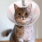 Custom Cats Recovery Suit Kit Lick Prevention Pet Recovery Collar for Wound Care Pet Cone Alternative