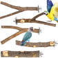 Natural Wood Bird Perches for Cage, Parrot Perch Stand & Platform, Bird Cage Accessories for Parakeets, Cockatiels, Conures, Lovebirds (Brown, Essential Perch Bundle - 5PCS)