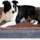 Dog Bed for Medium Size Dogs, Pet Couch Bed with Durable Fabric and Anti-Slip Bottom