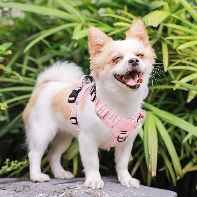 Timos Dog Harness, 3 Snap Buckles No-Pull Soft Padded Dog Vest with 2 Metal Leash Clips, Adjustable Reflective No Choke Pet Harness with Easy Control Handle for Small Dogs,Pale Pink,S