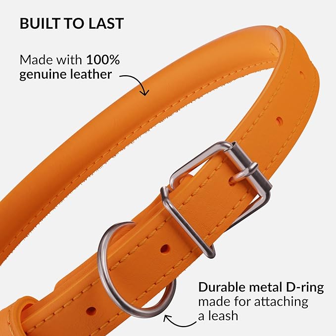 CollarDirect Rolled Leather Dog Collar, Soft Padded Round Puppy Collar, Handmade Genuine Leather Collar Dog Small Large Cat Collars 13 Colors (13-16 Inch, Orange Smooth)