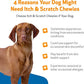 Pet Wellbeing Itch & Scratch Chewies for Dogs - Supports Healthy Itch Response to Occasional Skin Allergies, Skin Health, Chinese Pearl Barley, Phellodendron - Veterinarian-Formulated 90 Soft Chews