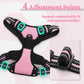 rabbitgoo Dog Harness No Pull with 2 Leash Clips, Adjustable Soft Padded, Reflective Oxford No Choke Pet Vest with Easy Control Handle for Large Dogs, Pink, L