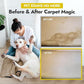 NORTHWEST ENTERPRISES Multi-Purpose Enzyme Cleaner - Household and Commercial Enzyme Cleaner, Fresh Lemon Scent (1 Gallon)