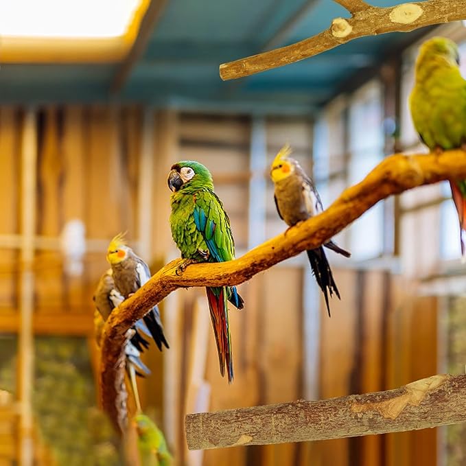Natural Wood Bird Perches for Cage, Parrot Perch Stand & Platform, Bird Cage Accessories for Parakeets, Cockatiels, Conures, Lovebirds (Brown, Core Perch & Platform - 8PCS)