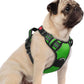 rabbitgoo Dog Harness Small Sized, No Pull Dog Vest with 3 Buckles, Adjustable Soft Padded Pet Harness with Easy Control Handle and Reflective Strips, Green, S