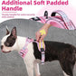 PUPTECK No Pull Dog Harness Small Sized, Adjustable Reflective Dog Harness with Handle Easy Control, Comfortable Soft Padded Pet Vest Harness for Small Dogs, Plaid Pink S