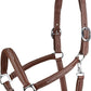 HORZE Warren Soft Adjustable Genuine Leather Horse Halter | Stainless Steel Hardware - Light Brown - Cob